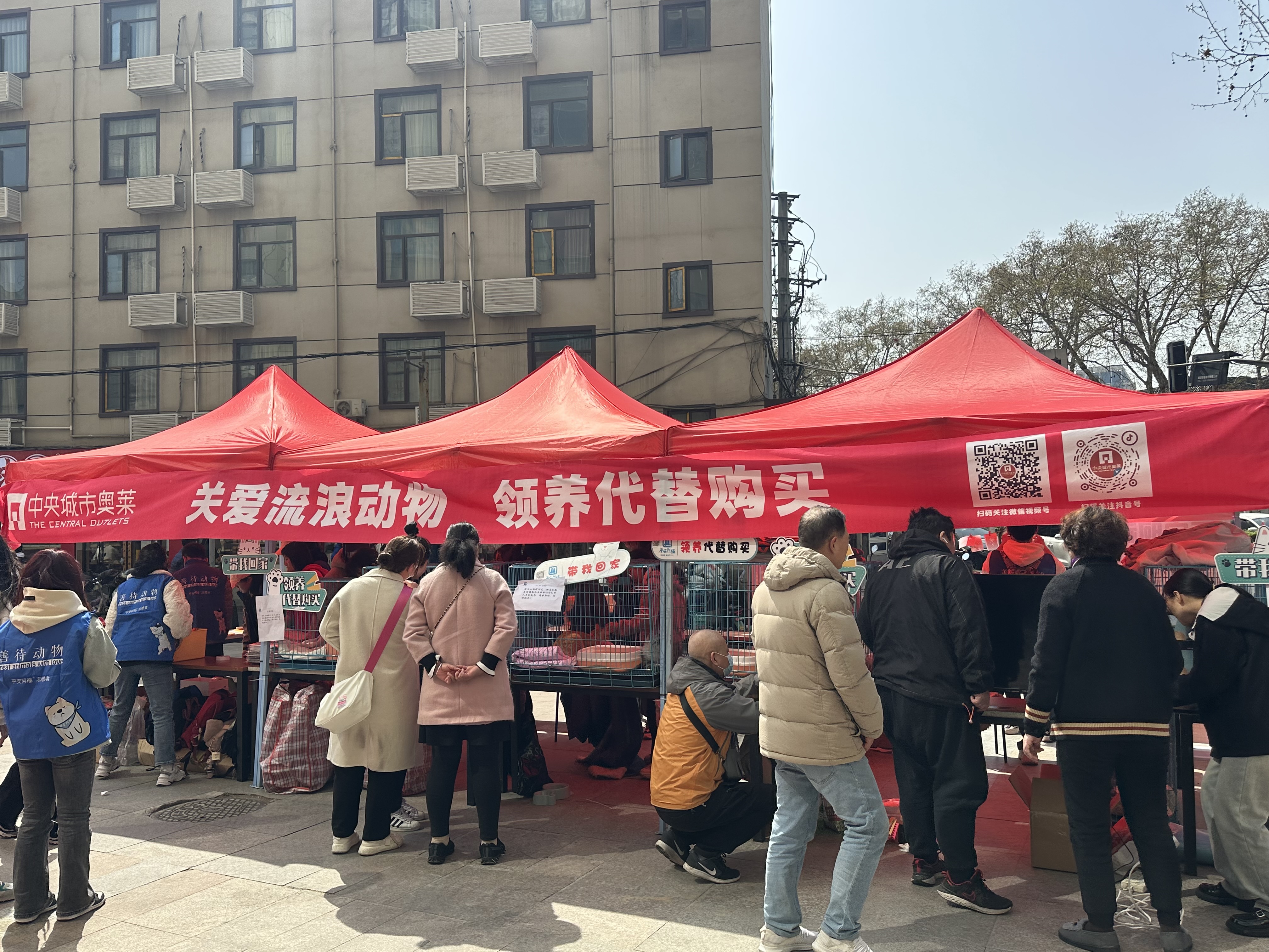 卡卡湾厅·(KKW88)集团公司-官方网站
